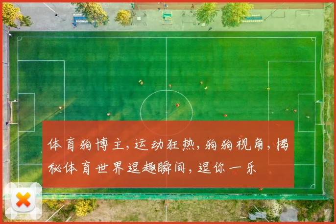 体育狗博主,运动狂热,狗狗视角,揭秘体育世界逗趣瞬间,逗你一乐