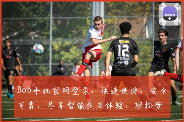 Bob手机官网登录，快速便捷，安全可靠，尽享智能生活体验，轻松登录，畅享无忧